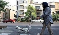تشویق به انس با حیوانات برای تضعیف خانواده است 