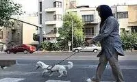 تشویق به انس با حیوانات برای تضعیف خانواده است 
