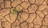 کدام ترسالی؟ در حال حاضر کمبود جدی آب داریم