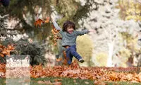 عکس‌های پاییزی را در این لوکیشین بی‌نظیر بگیرید