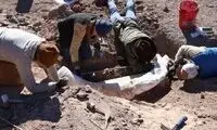 کنده درختی که گنج از آب درآمد!