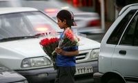 بهزیستی: ۸۵ درصد کودکان کار از اتباع هستند
