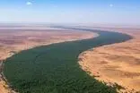 دیوار سبز ۸۰۰۰ کیلومتری آفریقا برای نجات زمین