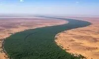 دیوار سبز ۸۰۰۰ کیلومتری آفریقا برای نجات زمین