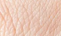 ۹ ماده غذایی برای رفع چین و چروک‌های صورت
