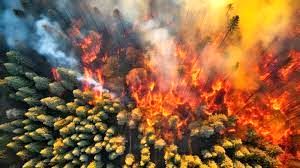 تصاویر آخرالزمانی از آتش‌سوزی جنگل‌های آرژانتین