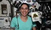 آهنگ کردی گوش دادن یاسمین مقبلی در فضا