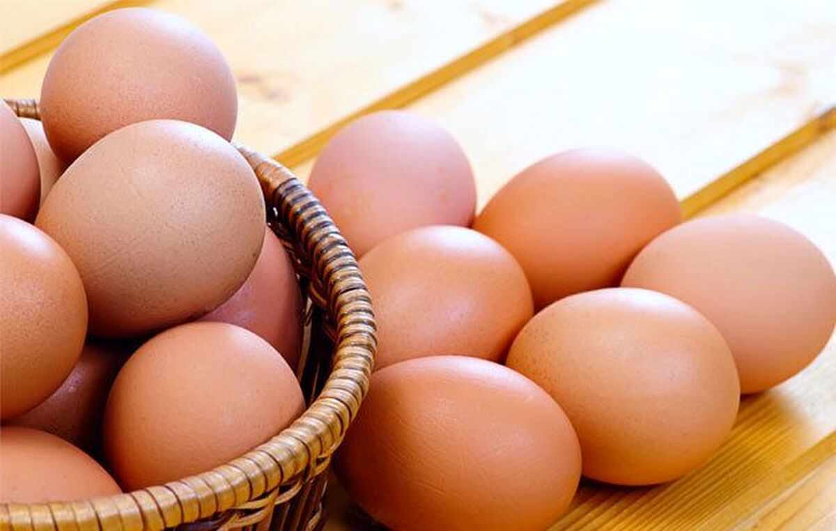 قیمت جدید تخم‌مرغ در بازار اعلام شد