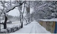 خبر خوش هواشناسی که تهرانی‌ها را سر ذوق می‌آورد