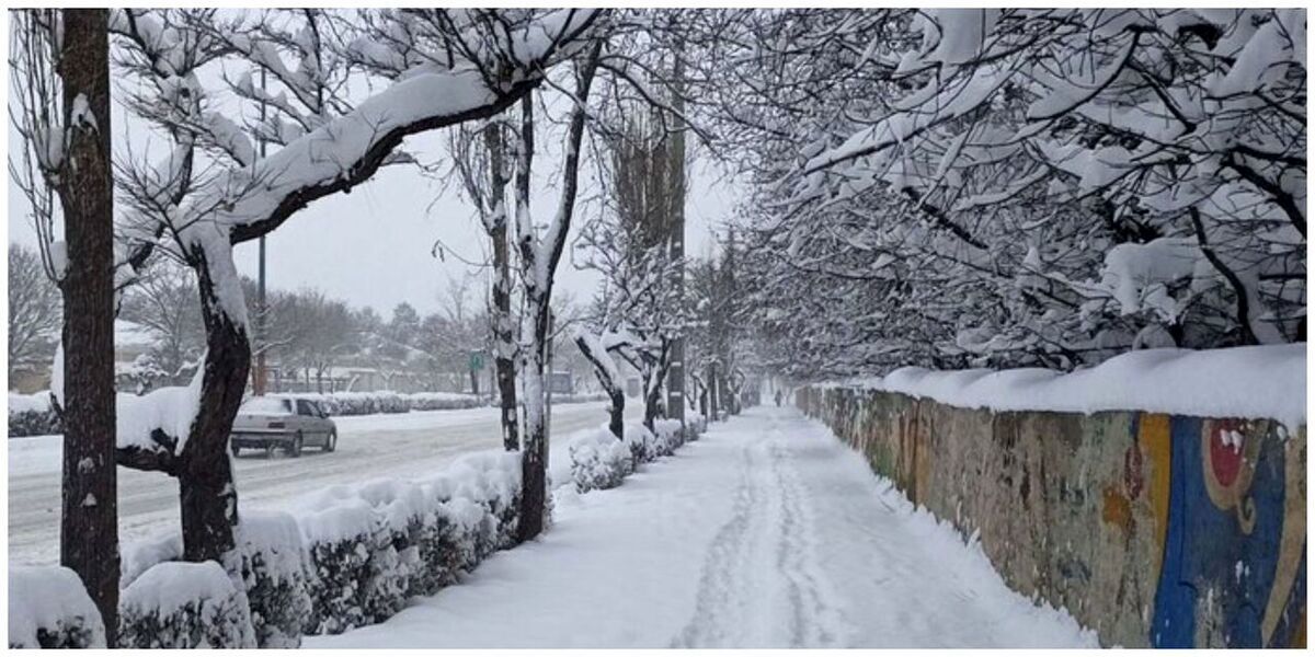 خبر خوش هواشناسی که تهرانی‌ها را سر ذوق می‌آورد