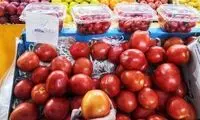 گوجه فرنگی رکورد دلار را زد!