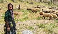 ویدئو جذاب از پخت یتیمچه به سبک بانوی عشایری