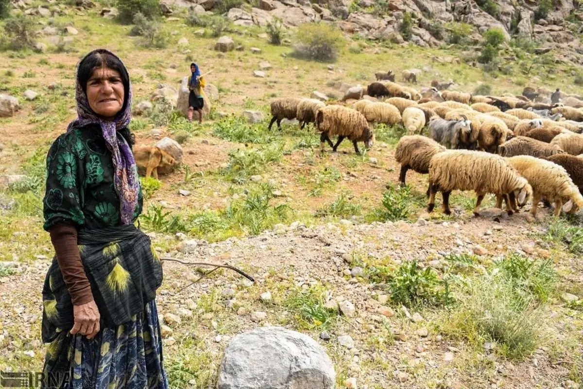 ویدئو جذاب از پخت یتمچه به سبک بانوی عشایری