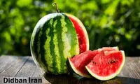 کشف تازه درباره فواید هندوانه برای سلامتی 