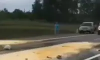 تصادف پربازدید ماشین حمل رنگ؛ راننده زرد شد!