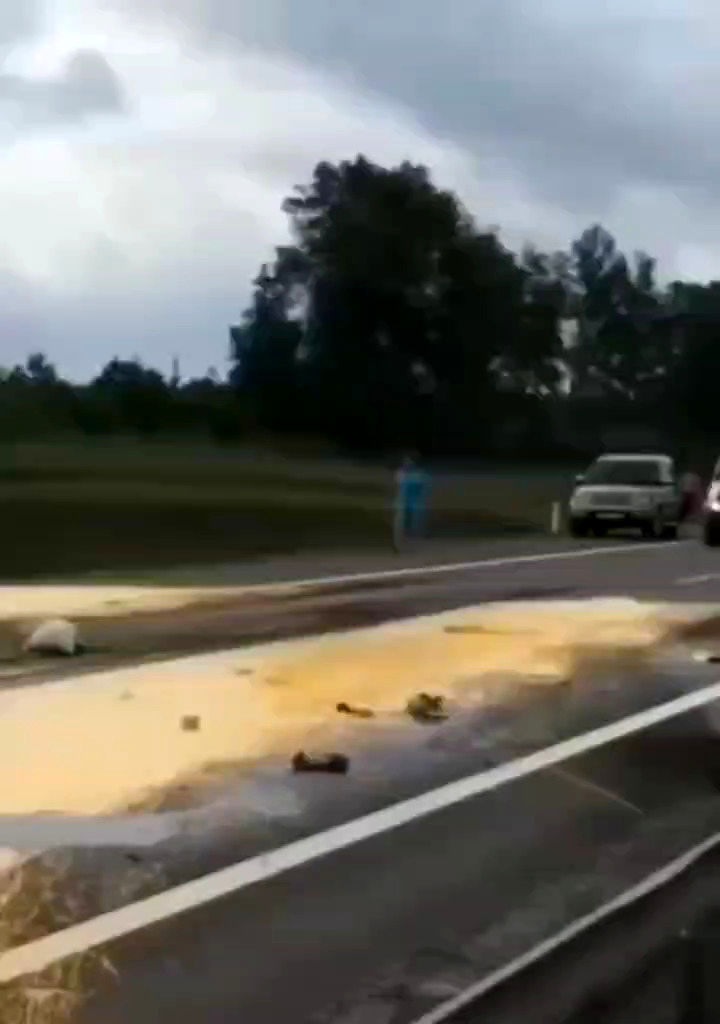 تصادف پربازدید ماشین حمل رنگ؛ راننده زرد شد!