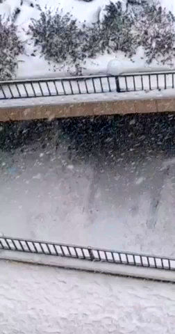 ویدئویی از اولین تصاویر از بارش شدید برف در اراک