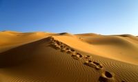 دریاچه‌ای با عمق ۴۲ متر، در بیابان‌های عربستان!