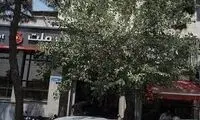 عکس قشنگی که از متفاوت‌ترین درخت تهران ثبت شد