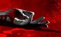 دعوا بر سر ارثیه، انگیزه قتل مادربزرگ و عمو