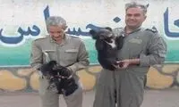 کشف دو توله خرس از یک اتوبوس مسافربری