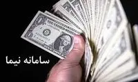 روزنامه مشهور با حذف ارز نیما مخالفت کرد