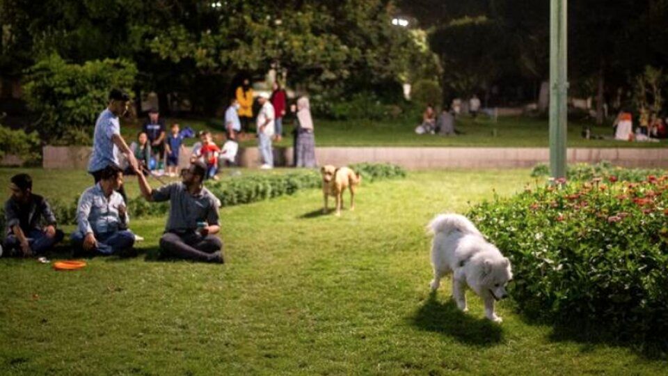 طرح ممنوعیت ورود سگ‌ به پارک‌های تهران