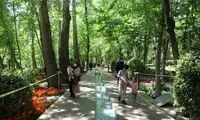 چرا اسم «ونک» در دوران قاجار سر زبان‌ها افتاد؟