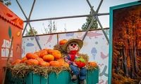 جشنواره طعم و رنگ پاییزی در «باغ مشهد» آغاز شد