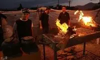 تصاویری از سروِ کباب گوزن برای زائران اربعین