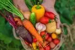 برای داشتن پوستی جوان‌تر، این خوراکی‌ها را از دست ندهید
