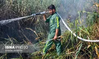 بازداشت دو نفر در رابطه با آتش‌سوزی تالاب انزلی