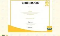 ایرانسل جایزه نوآوری گروه MTN را دریافت کرد