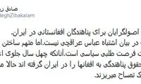 زیباکلام: عراقچی، نژادپرست نیست