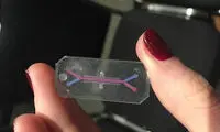 اعضای بدن روی تراشه تکثیر شد