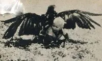 شکار پسر بچه‌ 4ساله توسط عقاب +عکس