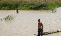 حال «هامون» چطور است؟