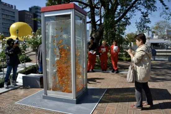 باجه ماهی قرمز در ژاپن! +عکس