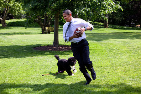 پسر مرلین مونرو دزد سگ اوباما!