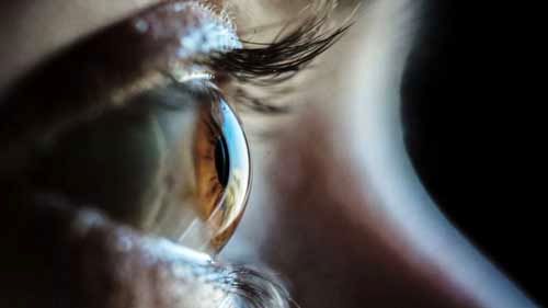 احیای بخشی از بینایی با کمک پروتئین جلبک
