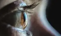 احیای بخشی از بینایی با کمک پروتئین جلبک