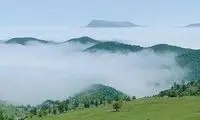 نمایی زیبا از جنگل ابر در شاهرود