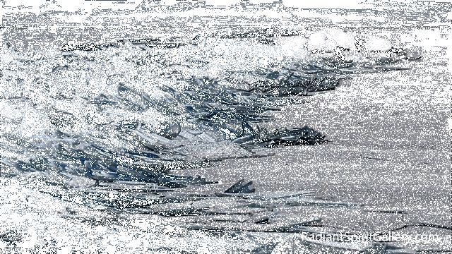 امواج یخ زده در سواحل آمریکا +عکس