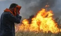 اعلام ممنوعیت ۶۰ روزه سوزاندن در آمازون