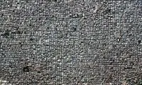 جهان تحمل این انسان ها را دارد؟/ عکس