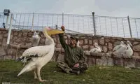 باغ‌وحش خانگیِ مرد طبیعت