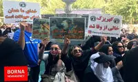 تجمع مقابل شهرداری تهران در اعتراض به سگ‌کشی