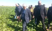 تصویر حاشیه‌ساز از سرپرست وزارت جهاد کشاورزی!