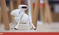 رباتی پیشرفته و در عین حال بامزه +عکس