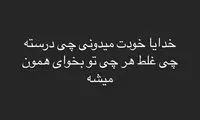 استوری معنادار داریوش شجاعیان